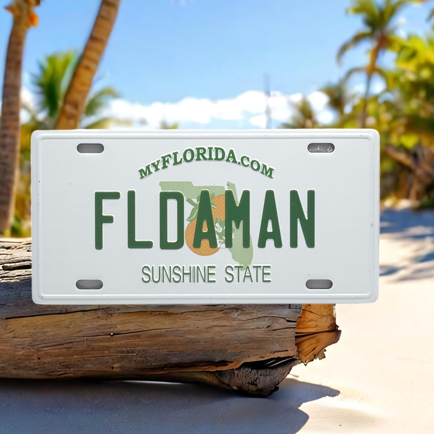 FLDAMAN - Florida License Plate Magnet