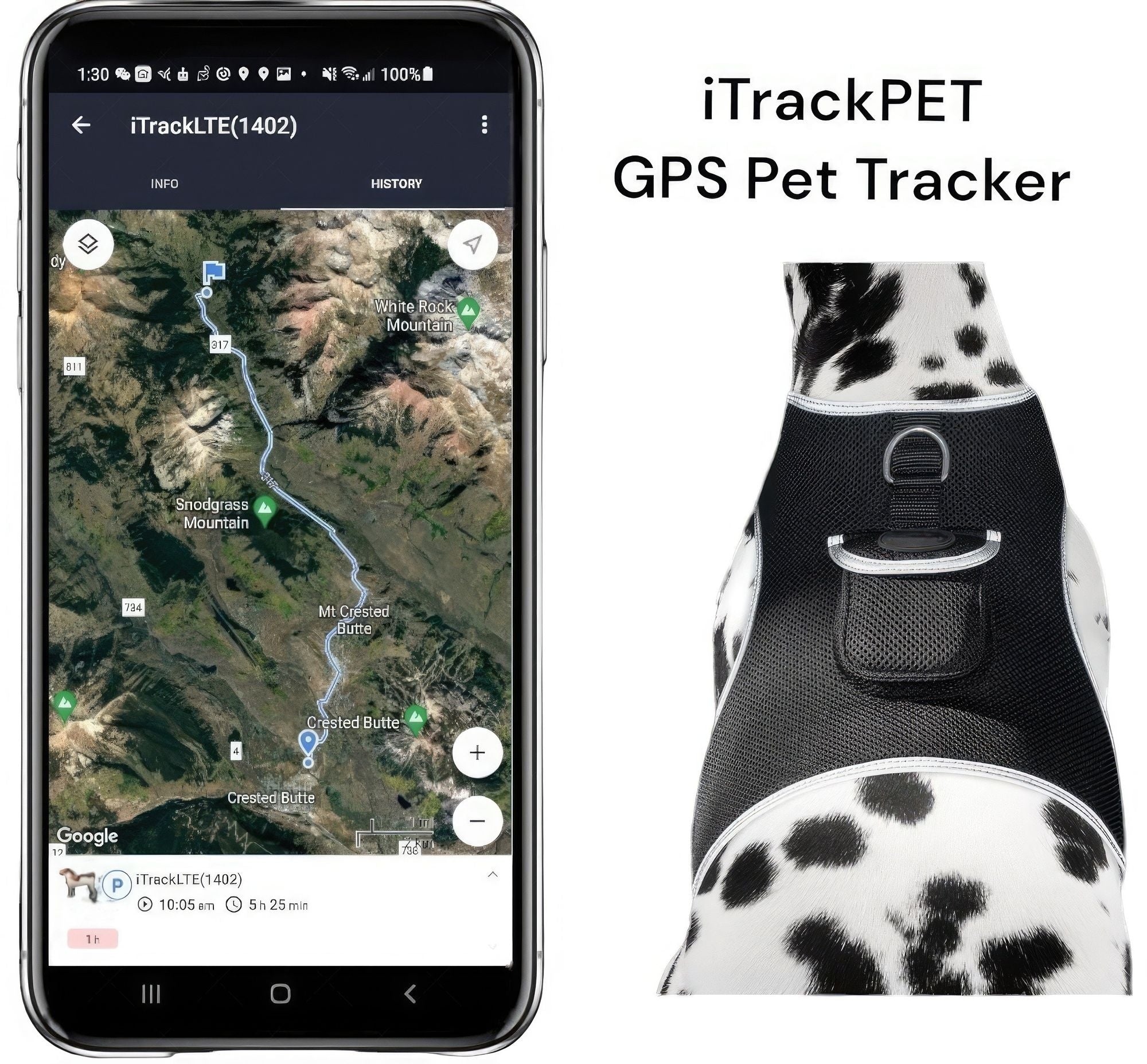 Waterproof Collar Mount Tracker Realtime GPS GSM Puppy Tracking Device Size:L