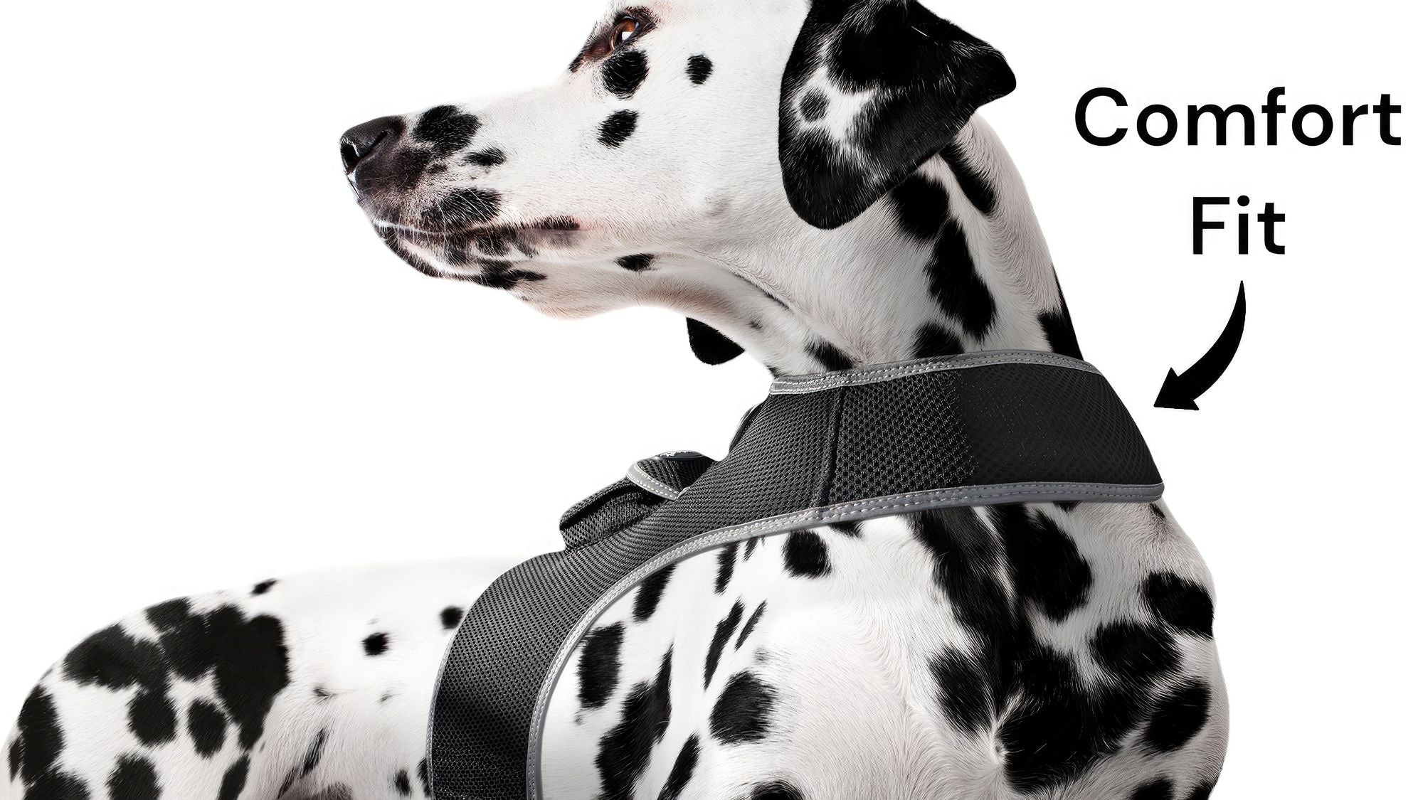 GSM GPS Animal Tracker Collar Attached Rechargeable Realtime Surveillance Gadget Size:XXL