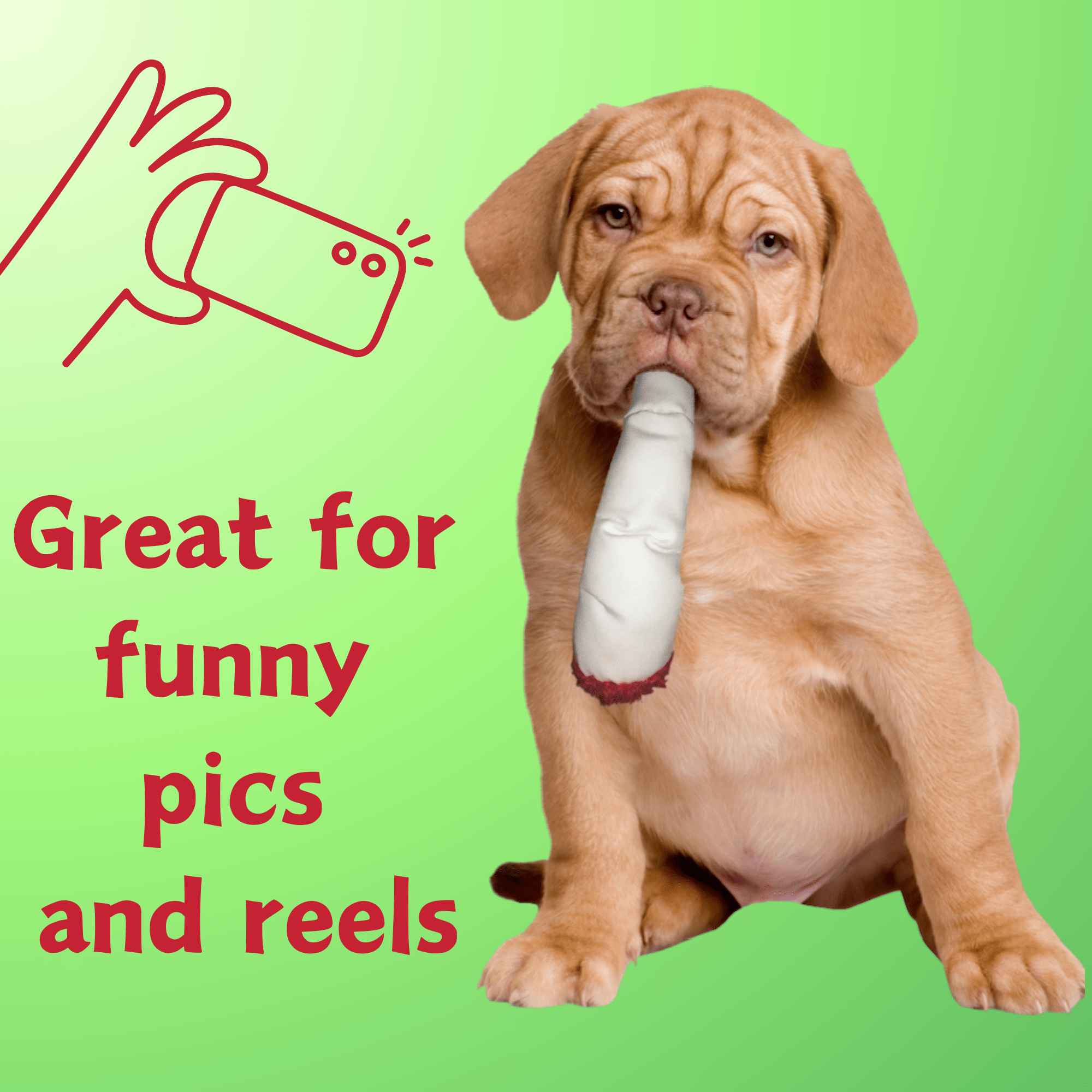 My Name is Jay, Cute Stuffed Parody Joint Dog Toy, Funny Squeaky Weed Toy, Cool Plush Novelty 420 Gift for Pets & Their Owners, Sized for Puppies & Small, Medium & Large Breeds, Fetch & a Photo Prop