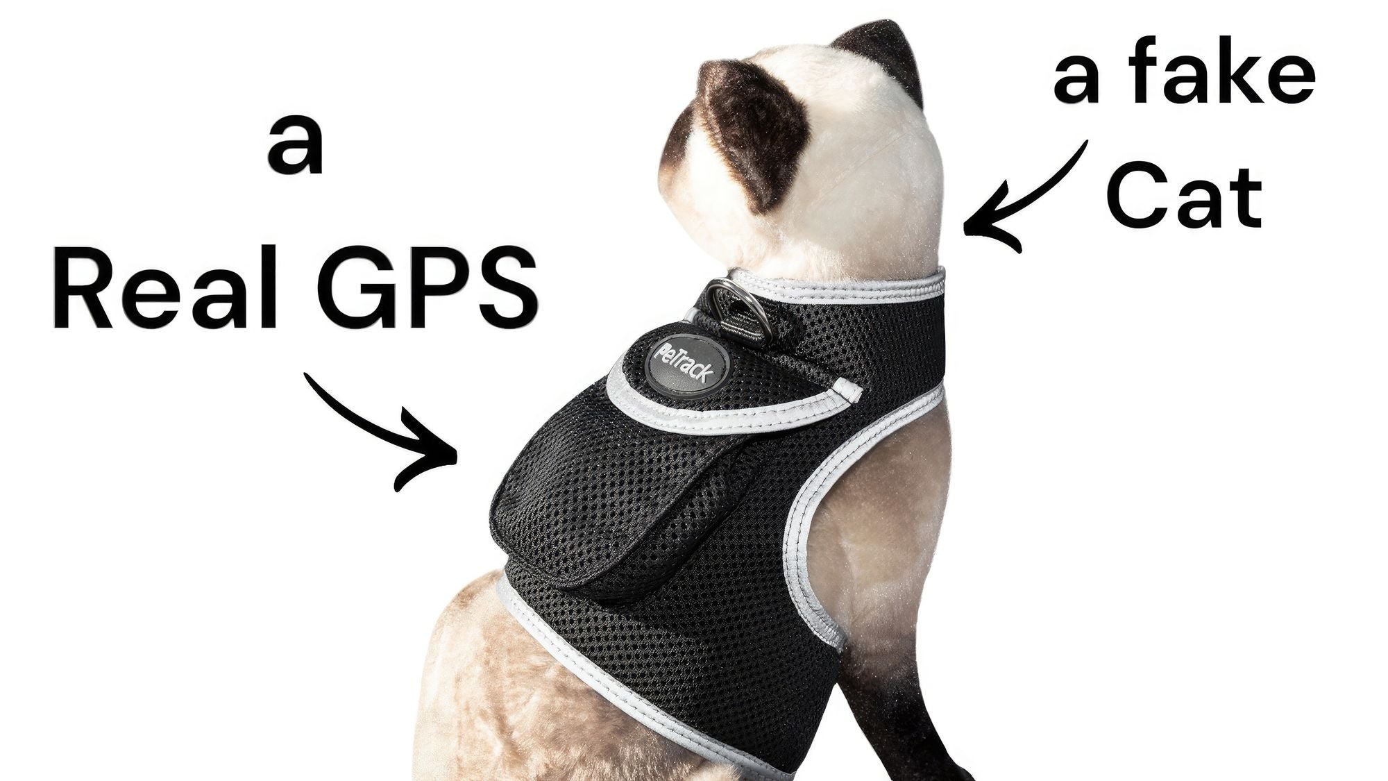 Collar Rechargeable Portable GPS Tracking Devices for Pets GSM Locator Size:XS