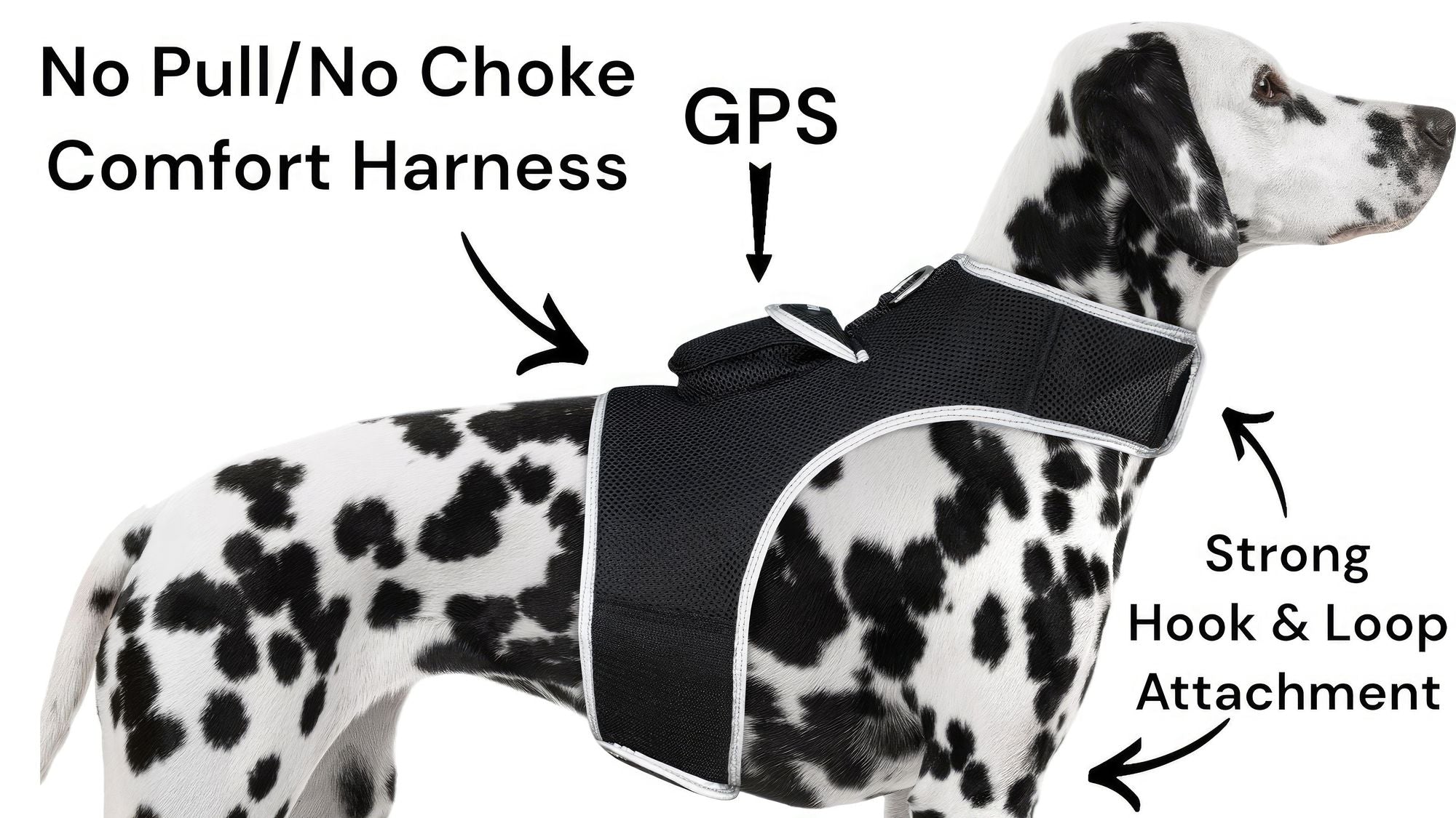Collar Rechargeable Portable GPS Tracking Devices for Pets GSM Locator Size:XS