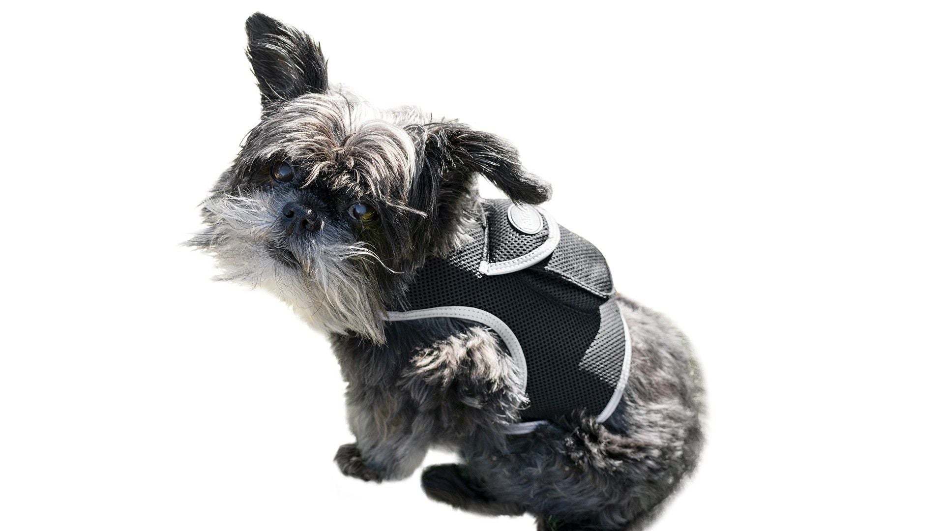 Waterproof Mini Pet Location Finder w/ Pet GPS Tracking Cell Phone App Size:M