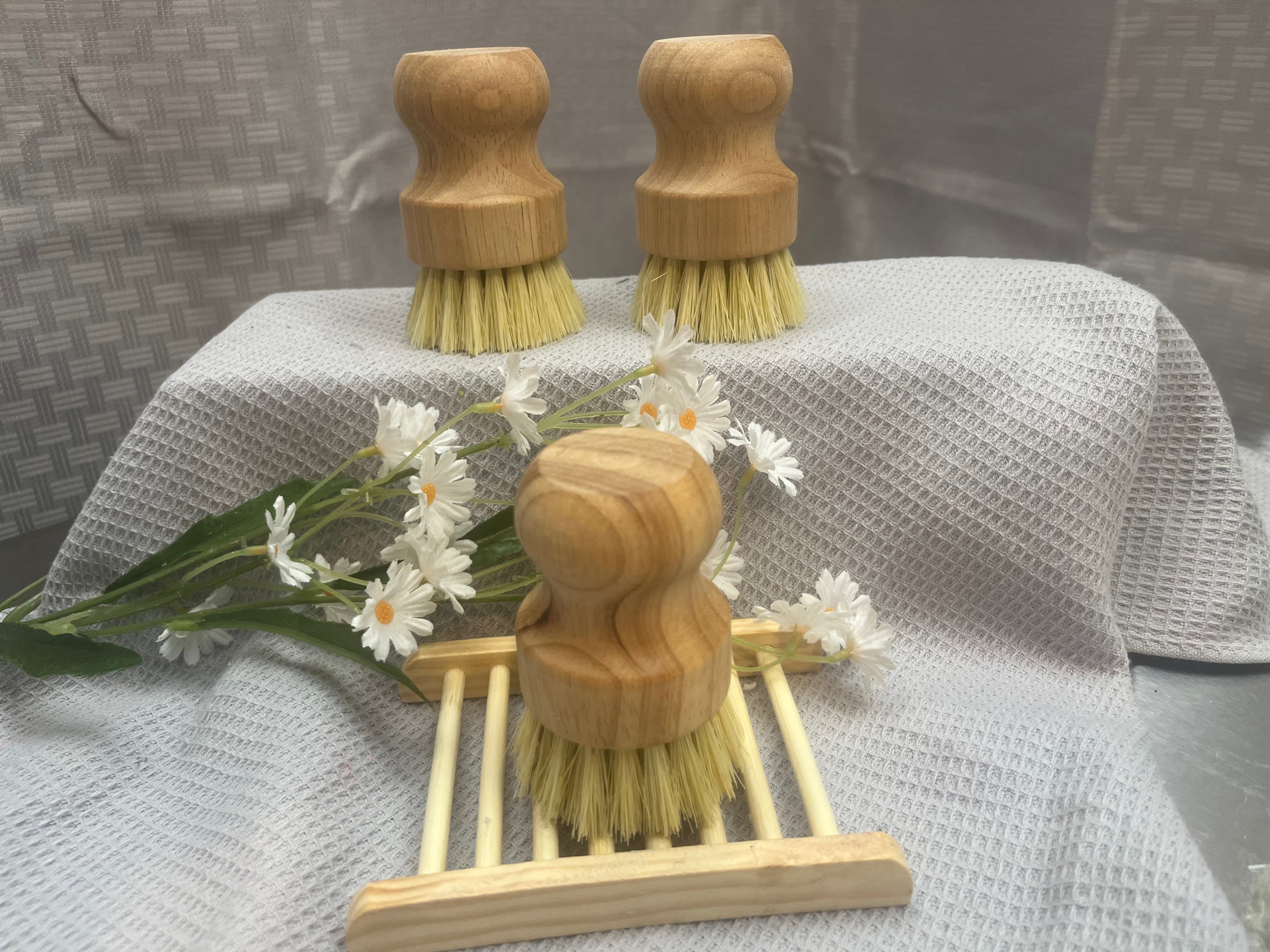 Solid Dish Soap (Citrus)