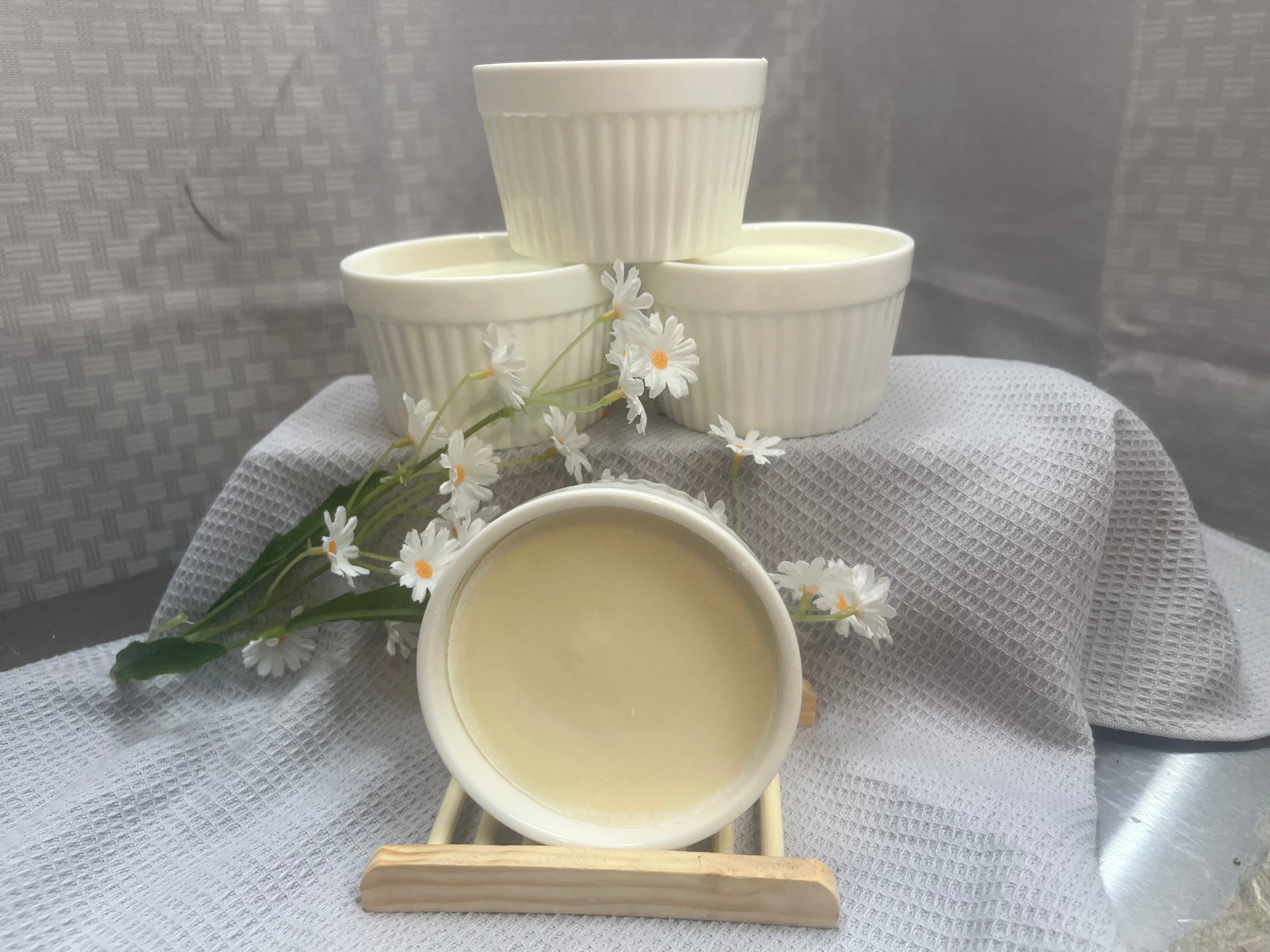 Solid Dish Soap (Citrus)