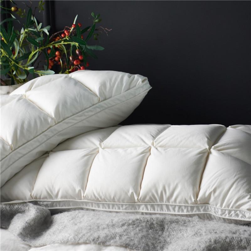 Giancarlo Goose Down Filling Pillows Set of 2