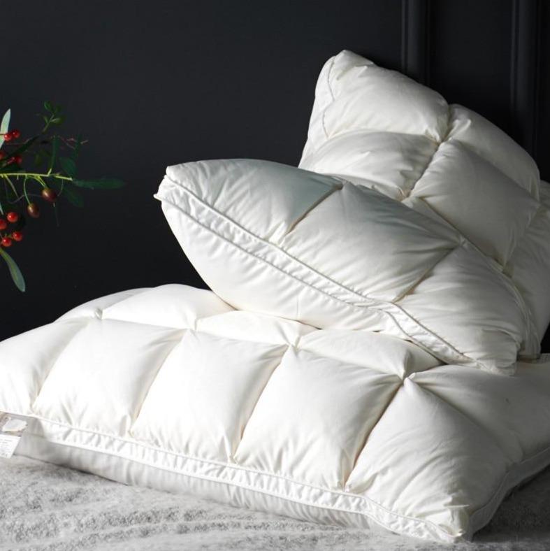 Giancarlo Goose Down Filling Pillows Set of 2