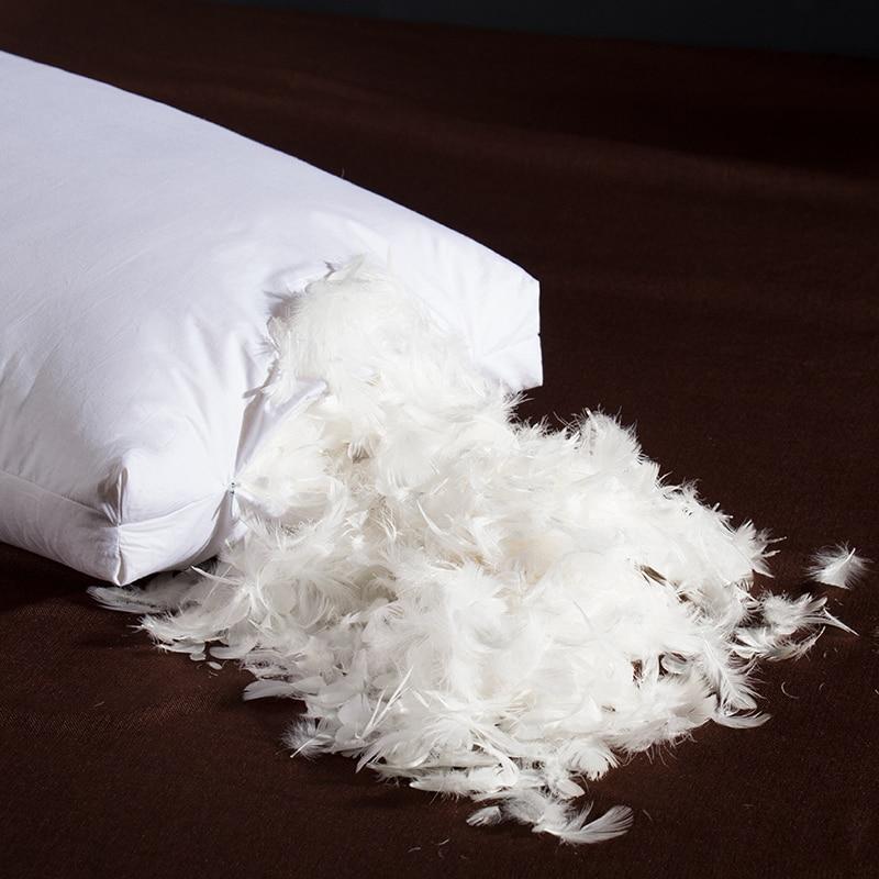 Giovanni Goose Down Pillows Cotton Made Set of 2