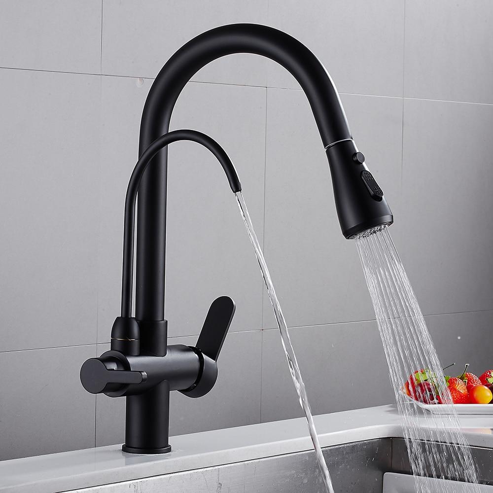 Werner Swivel Spout Pull-Down Single-Hole Dual Handle Kitchen Sink Faucet With Filter