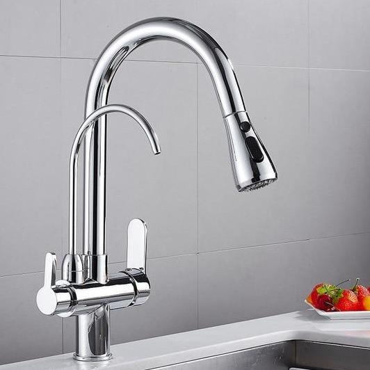 Werner Swivel Spout Pull-Down Single-Hole Dual Handle Kitchen Sink Faucet With Filter
