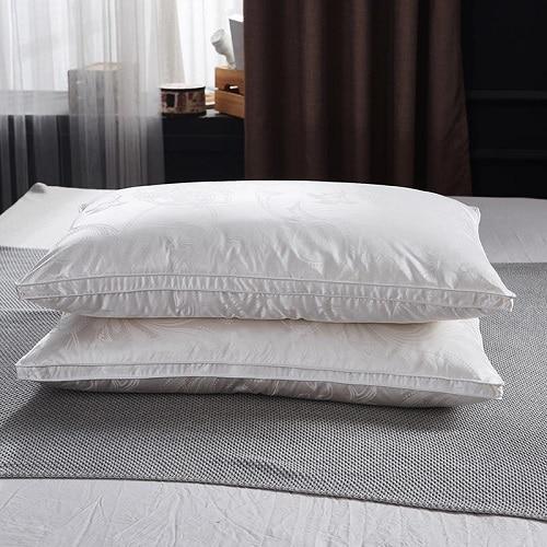 Vincenzo Pillows Set of 2 Goose Down