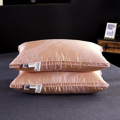 Vincenzo Pillows Set of 2 Goose Down