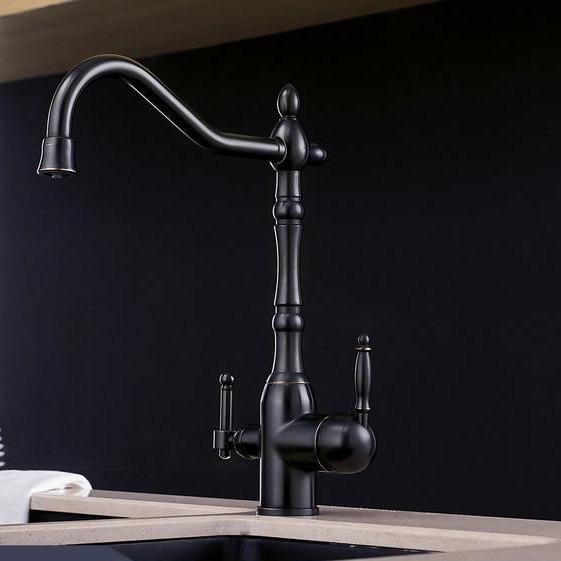Galileo Galilei Swivel Spout Single-Hole Dual-Handle Kitchen Sink Faucet